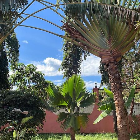 Bungalow X Garten & Terrasse X Wlan X Europaeisch Moshi Zewnętrze zdjęcie