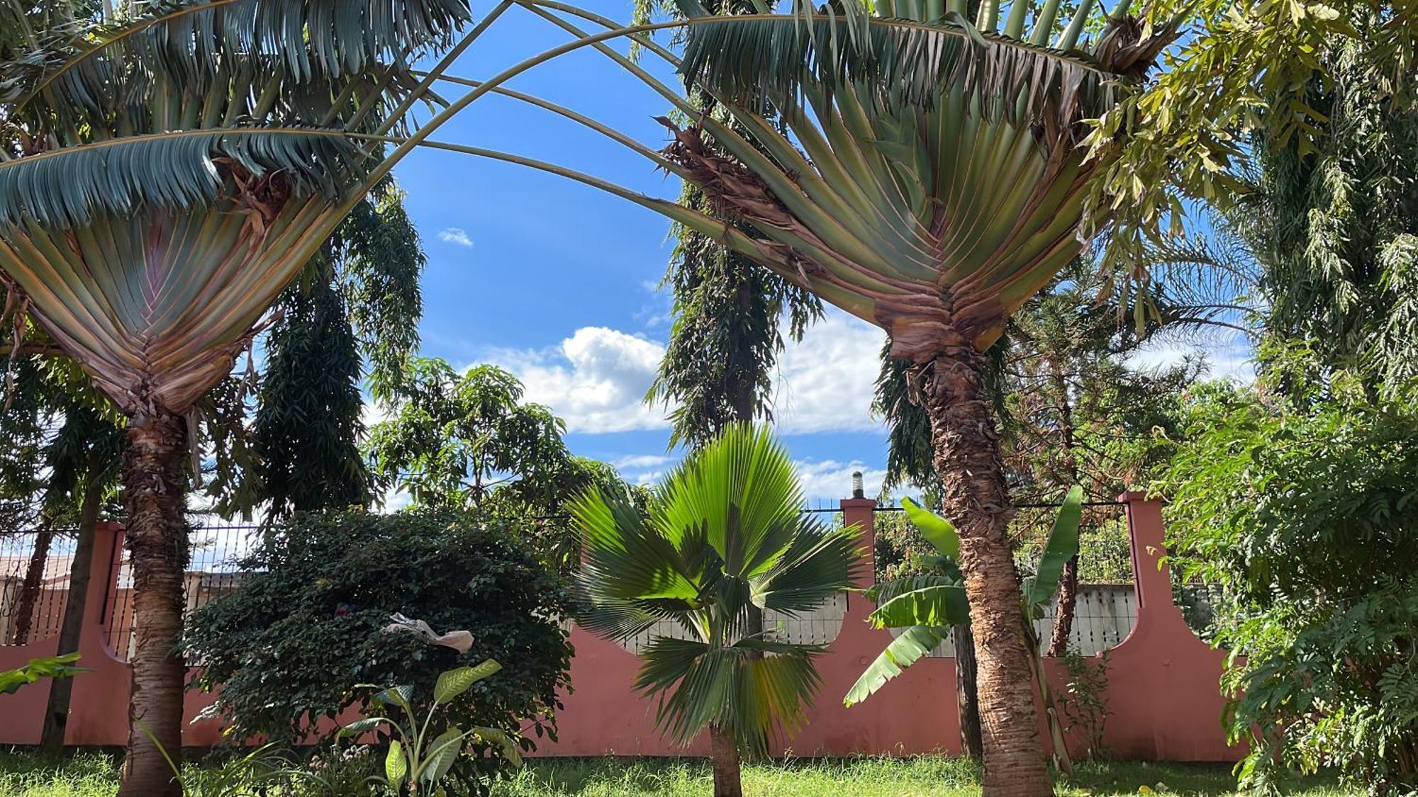 Bungalow X Garten & Terrasse X Wlan X Europaeisch Moshi Zewnętrze zdjęcie